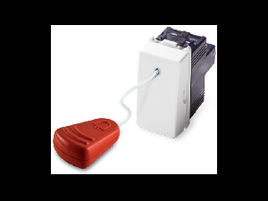 Buton cu revenire si  snur  16A