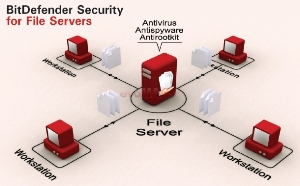 Softwin - BitDefender Security for File Server (25-PC)