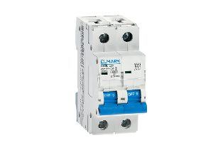 SIGURANTA C101L/63A 2P CURBA C