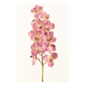 Flori Artificiale Vanda Orchid tija Roz