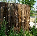 Gard din bambus 