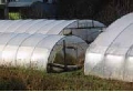 Agrofolie UV Stabil 12, transparent 