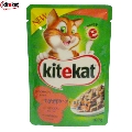 Hrana pisici Kitekat Somon 100 gr