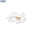 Florar Flaro  plastic transparent  3 buc/set