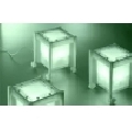 Lightbox jelly 15012714