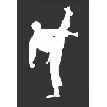 Karate (30 x 45 cm)