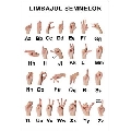 Limbajul Semnelor (30 x 45 cm)