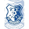 FC Farul Constanta (30 x 45 cm)