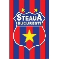FC Steaua (41 x 61 cm)