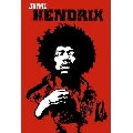 Jimi Hendrix (41 x 61 cm)