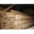Tulpina de bambus 35-40mm 