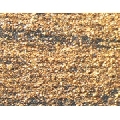 Patine - 3517