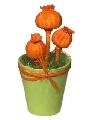 Mini-buchet de plante portocalii