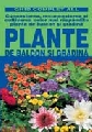 PLANTE DE BALCON SI GRADINA