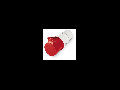 PRIZA MOBILA 3P+N+E, 16A, 6H, IP44, 346-415 V- SCAME