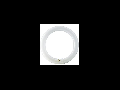 TUB NEON - MASTER TL-E Circular 22W/865 1CT/12