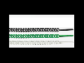 Brida verde reglabila elastica 10x300 Rapstrap