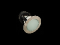 Spot Downlight GL120E 1xE27 max 60W satin nichel D-140mm Stellar