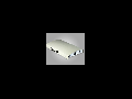 Corp de iluminat cu LED-uri pentru exterior, 52W, ELECTROMAGNETICA