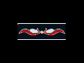 Banner 36  LED & FLASH  (Lxh) 5000x800 mm