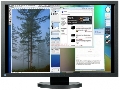 EIZO - Monitor LCD 30