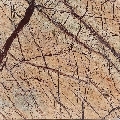 Blat Marmura Rain Forest Brown Polisata 250 x 65 x 3cm