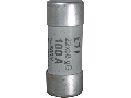 CH CH22x58 aM 80A/500V
