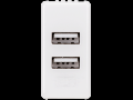DOUBLE USB POWER SUPPLY - 1 MODULE - SYSTEM WHITE