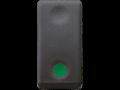 Intrerupator cu revenire 1P 250V ac - NO 10A - AUXILIARES CONTACT NC - START - SYMBOL GREEN - 1 MODULE - SYSTEM BLACK