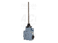 Limitator de cursa cu arc(otel) VM181 1×NO+1×NC, 6A/230V AC, IP66
