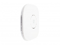 Access Point, WLAN 2,4GHz 802.11b/g/n montabil pe tavan, PoE