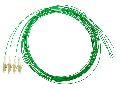 Pigtail LC, 50/125m OM2, 2m, Easy Strip, verde, 4buc