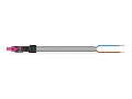 pre-assembled connecting cable; Eca; Socket/open-ended; 2-pole; Cod. B; Control cable 2 x 1.0 mm; 3 m; 1,00 mm; pink