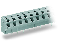 PCB terminal block; 2.5 mm; Pin spacing 7.5/7.62 mm; 12-pole; PUSH WIRE; 2,50 mm; gray