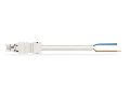 pre-assembled connecting cable; Eca; Socket/open-ended; 2-pole; Cod. A; H05VV-F 2 x 2.5 mm; 5 m; 2,50 mm; white