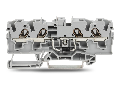 Component terminal block; 4-conductor; with diode 1N5408; anode, right side; for DIN-rail 35 x 15 and 35 x 7.5; 4 mm; Push-in CAGE CLAMP; 4,00 mm; gray