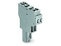 2-conductor female connector; 4 mm; 2-pole; 4,00 mm; gray
