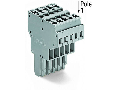 2-conductor female connector; 4 mm; 11-pole; 4,00 mm; gray