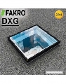 FEREASTRA FIXA CU MODUL DE STICLA SUPLIMENTAR PENTRU ACOPERIS TERASA DXG P2 100X100