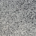 Granit Artico Grey Polisat 60 x 30 x 1.2 cm