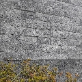 Marmura Ceppo Grey Scapitata 7.5 x LL x 1.2 cm