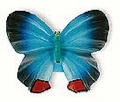 Buton fluture albastru cu rosu