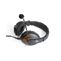 Casti Stereo Multimedia RPC-MV760